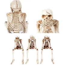 Sitting Skeleton Resin Ornament